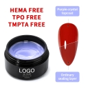 Hema Free TPO Free PMPTA Free Glitter Top Coat No Wipe High Shine Gel Nail Polish Top Coat Blue diamond Non Yellow Top Coat