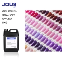 OEM/ODM Color Nail Gel Polish Manicure UV Soak off Gel High Pigment 15ml